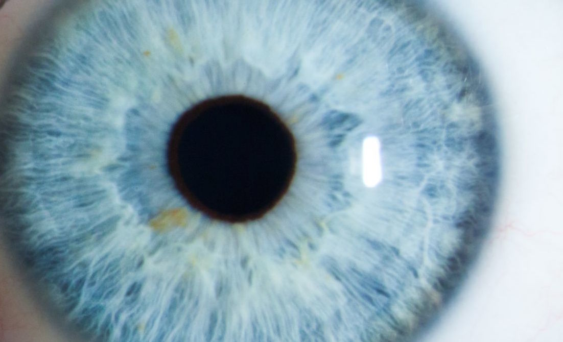 Close up of a blue human iris - eye.
