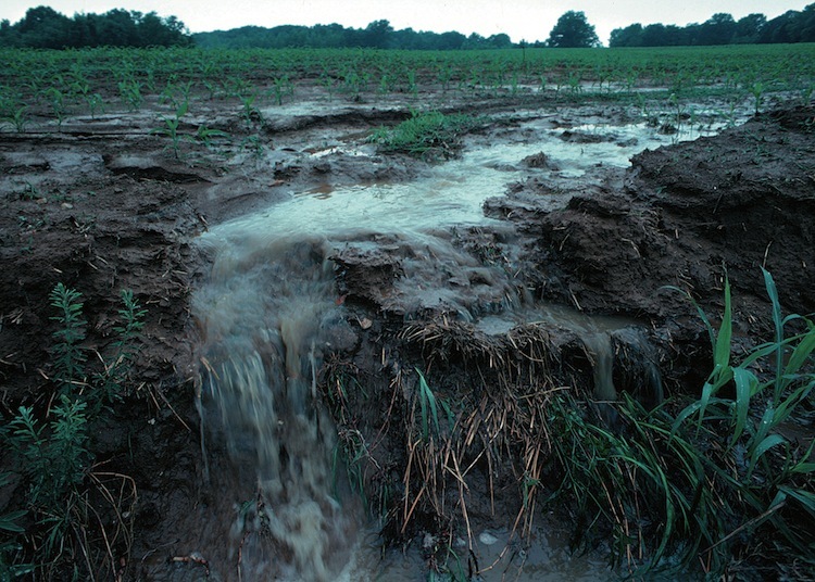 Water run-off over the surface of a flooded paddock.
