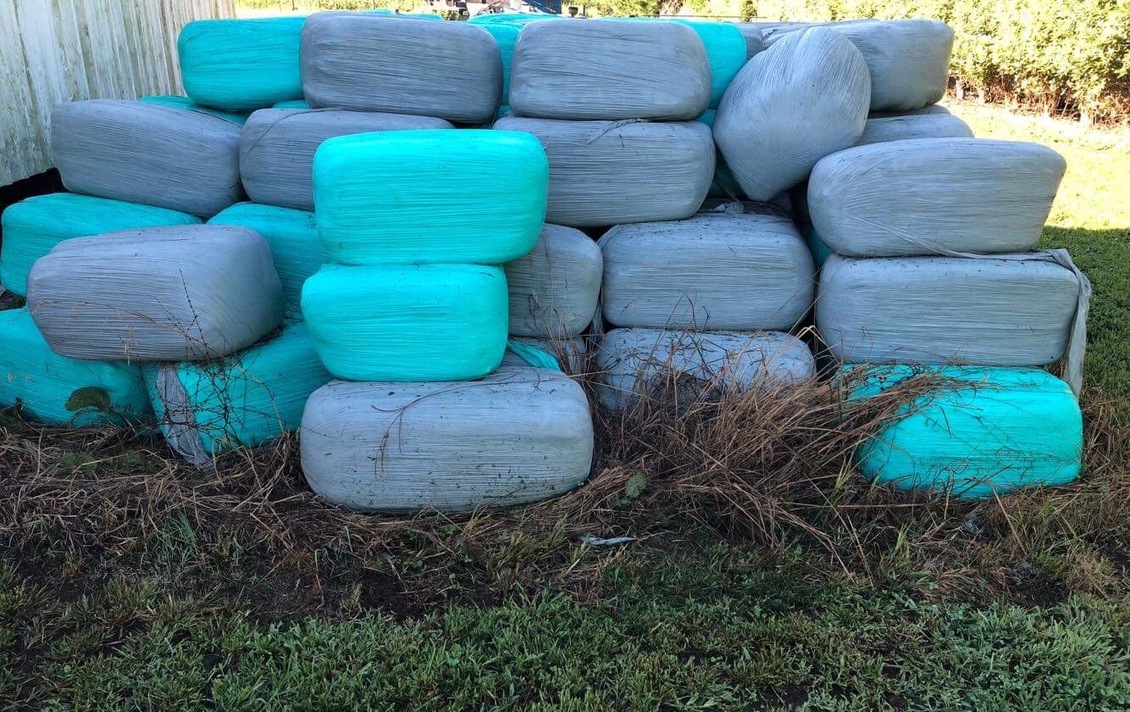 Group of silage bales in blue plastic.