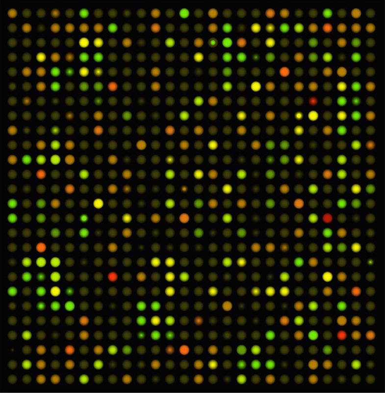 Microarray results