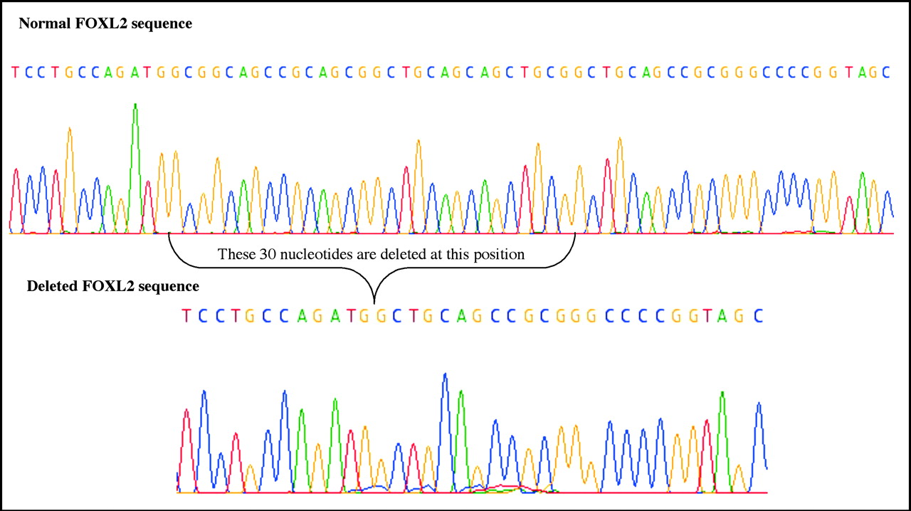 dna sequencing results science