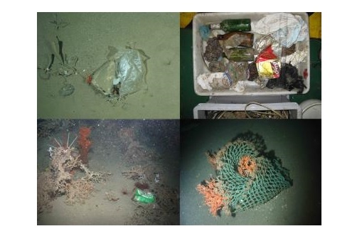Various human litter in marine habitats from a survey.