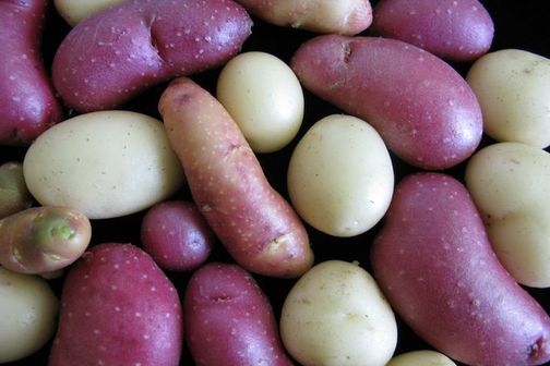 A mix of pink, white and red tubers.