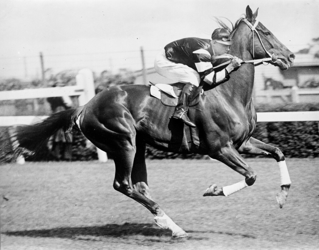 Phar Lap ridden by jockey Jim Pike Flemington race track c.1930
