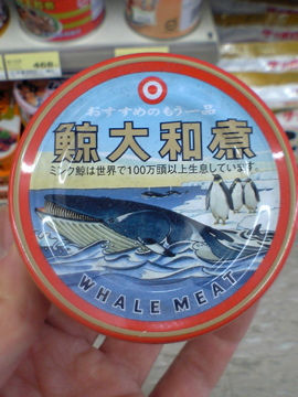 Hand holding a can of whale meat from Japan.