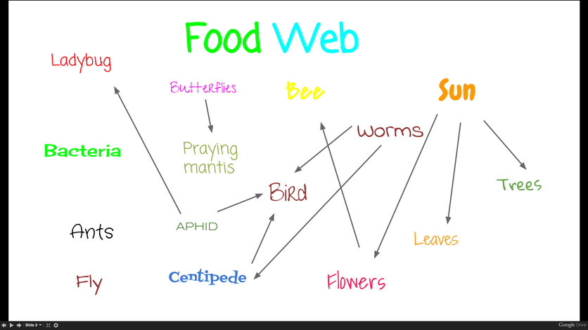 Student poster of food webs of their local ecosystem. 