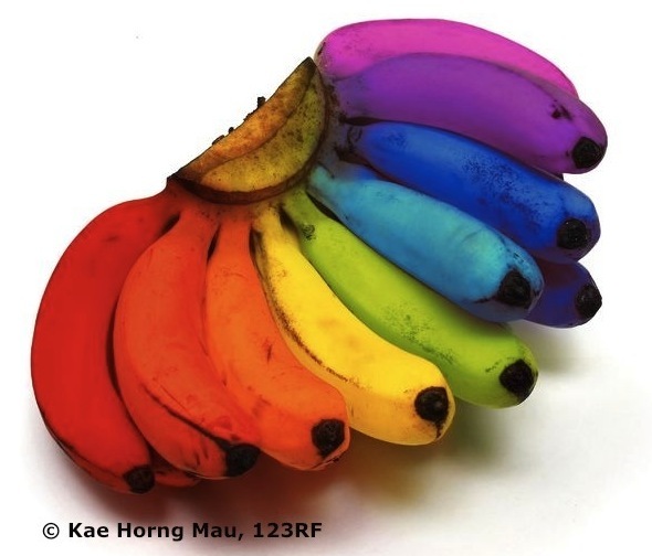 Bunch of bananas of various colours on white background.