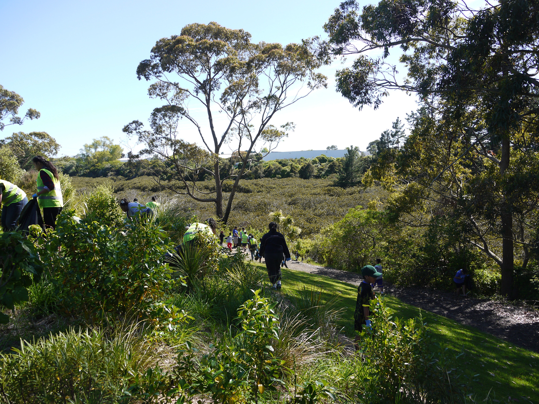 Community group participating in a stream clean-up, New Zealand