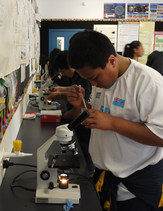 Students using microscopes to identify macroinvertebrates