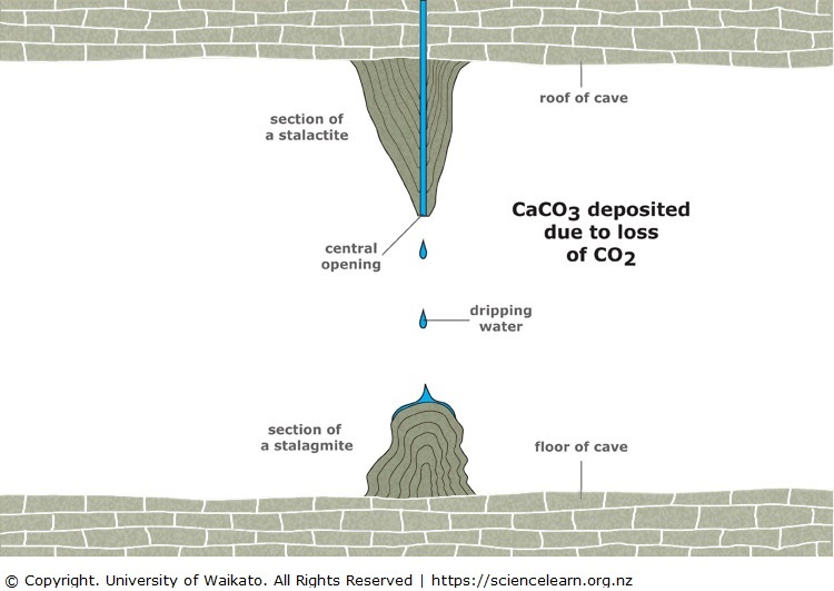 Diagram of the formation of cave stalagmites and stalactites.