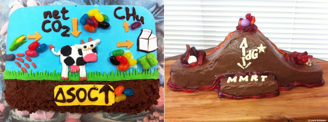 2 cakes made by scientists to explain their scientific findings.