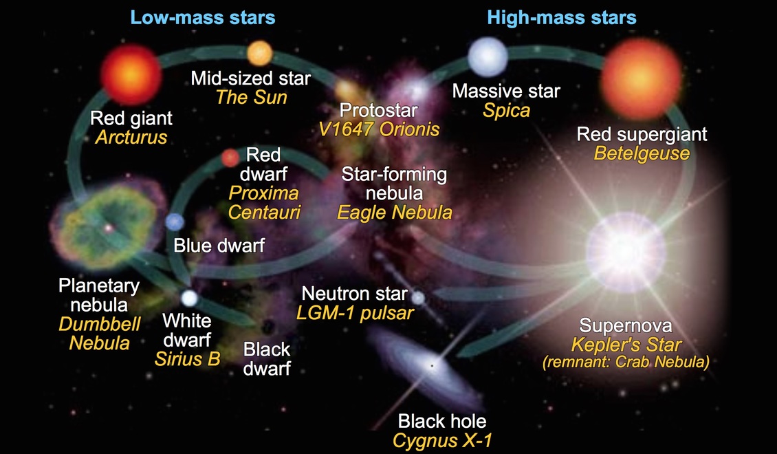 Diagram of the stellar evolution of low- and high- mass stars.