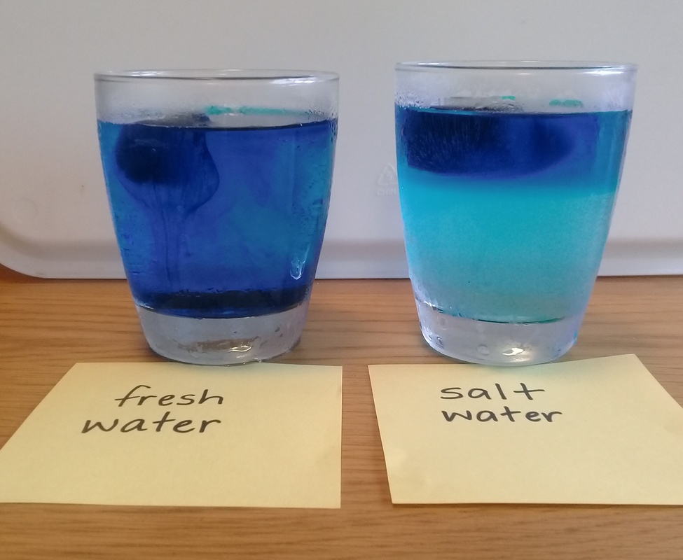 Two glasses with dyed blue water one fresh one salt water. 
