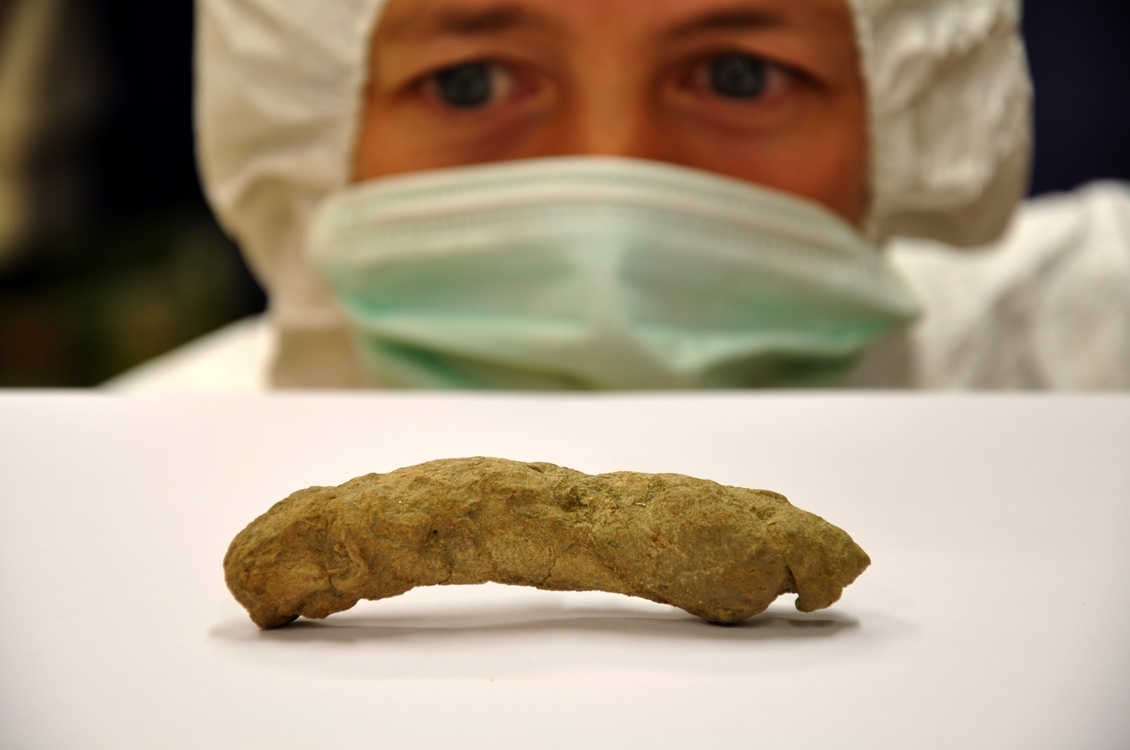 Paleoecologist researcher Dr Janet Wilmshurs and a moa coprolite