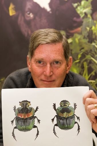 Scientist Hugh Gourlay holding picture of 2 dung beetles.