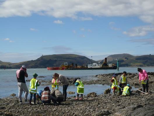 Students explore the rocky shore while Otago Harbour is dredged