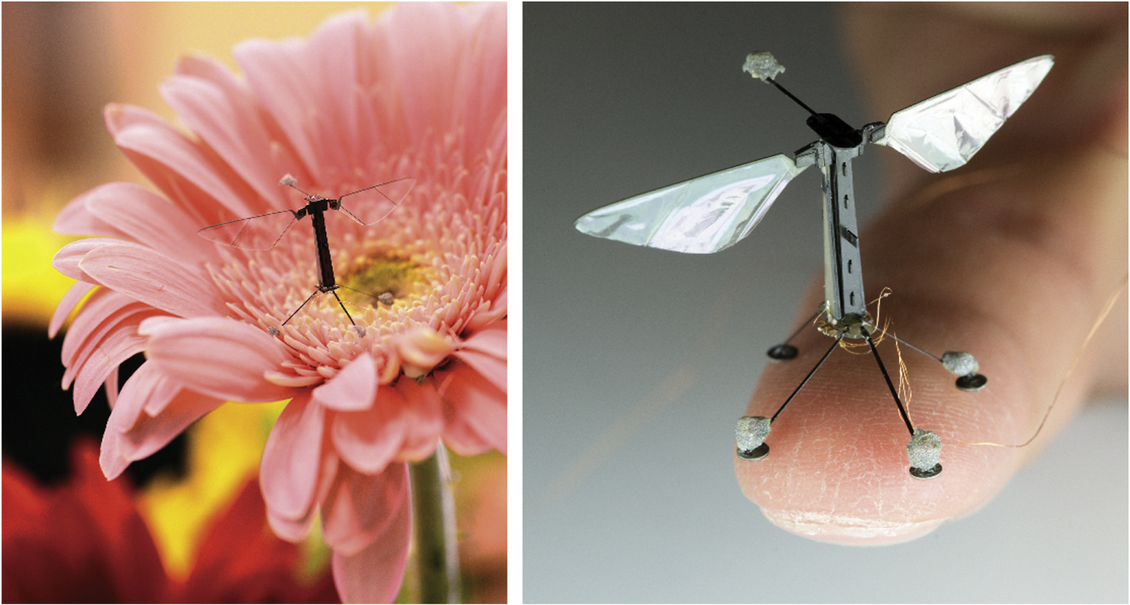Micro drone on a flower and also a finger.