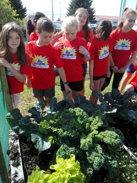 CAPOW students and their vegetable garden