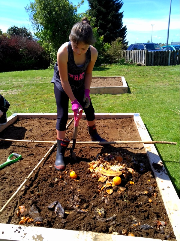 Student is working in the CAPOW garden trial plot.