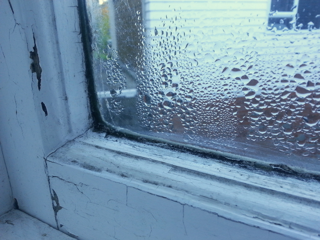 Condensation and mold on a window. 