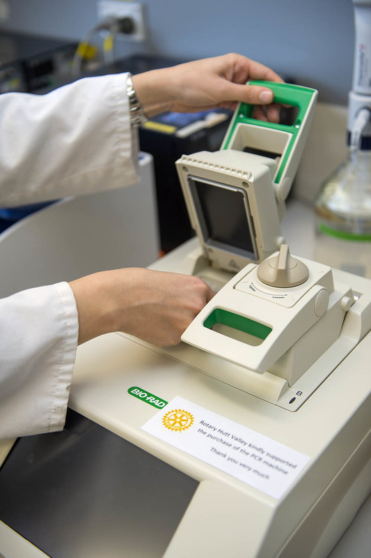 Scientist and Polymerase chain reaction (PCR) machine.