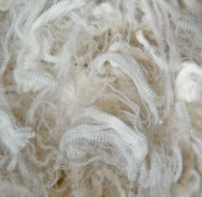 Close up of white Merino Wool Fleece.