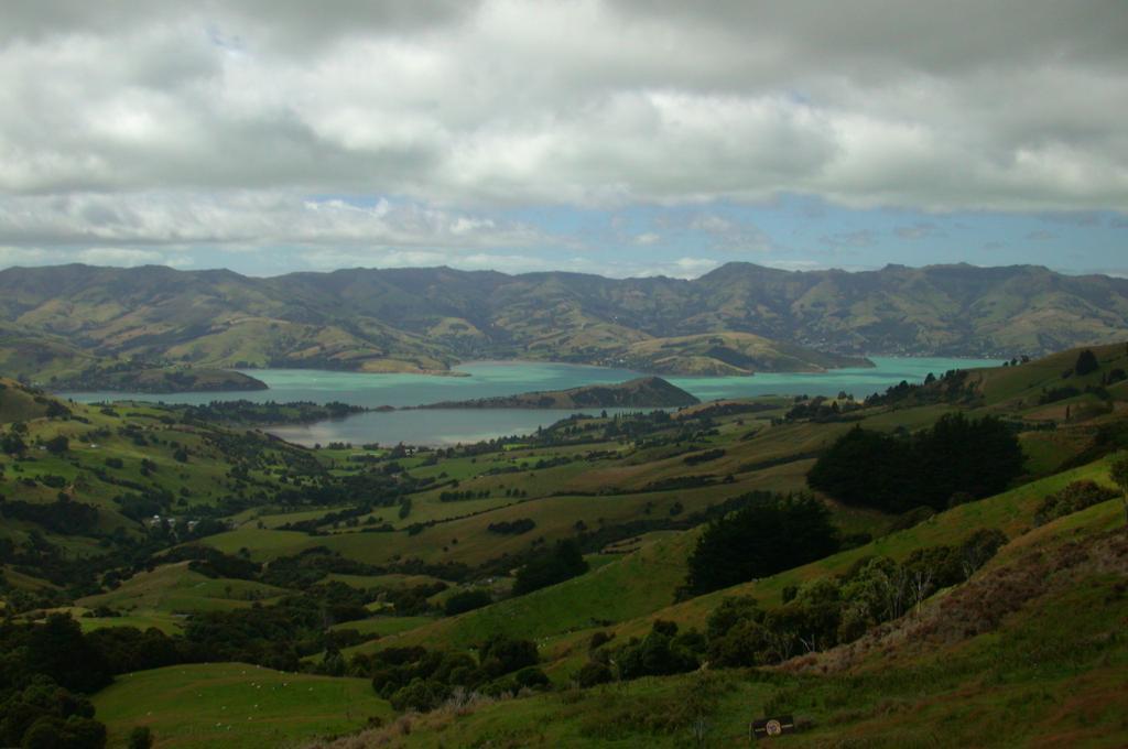 View of the volcanic-formed harbour in Akaroa, New Zealand 