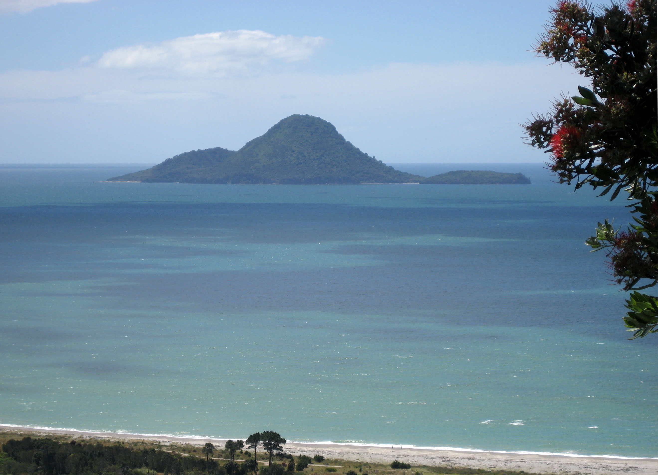 Whale Island — Science Learning Hub