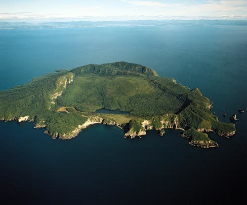 View from above of Mayor Island , New Zealand. 