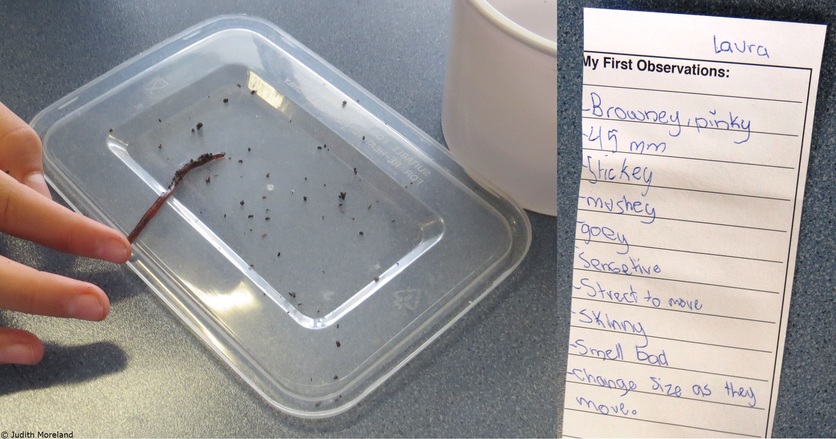 2 images of a Student's Earthworm observations.