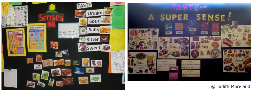 Students wall display on taste and senses.
