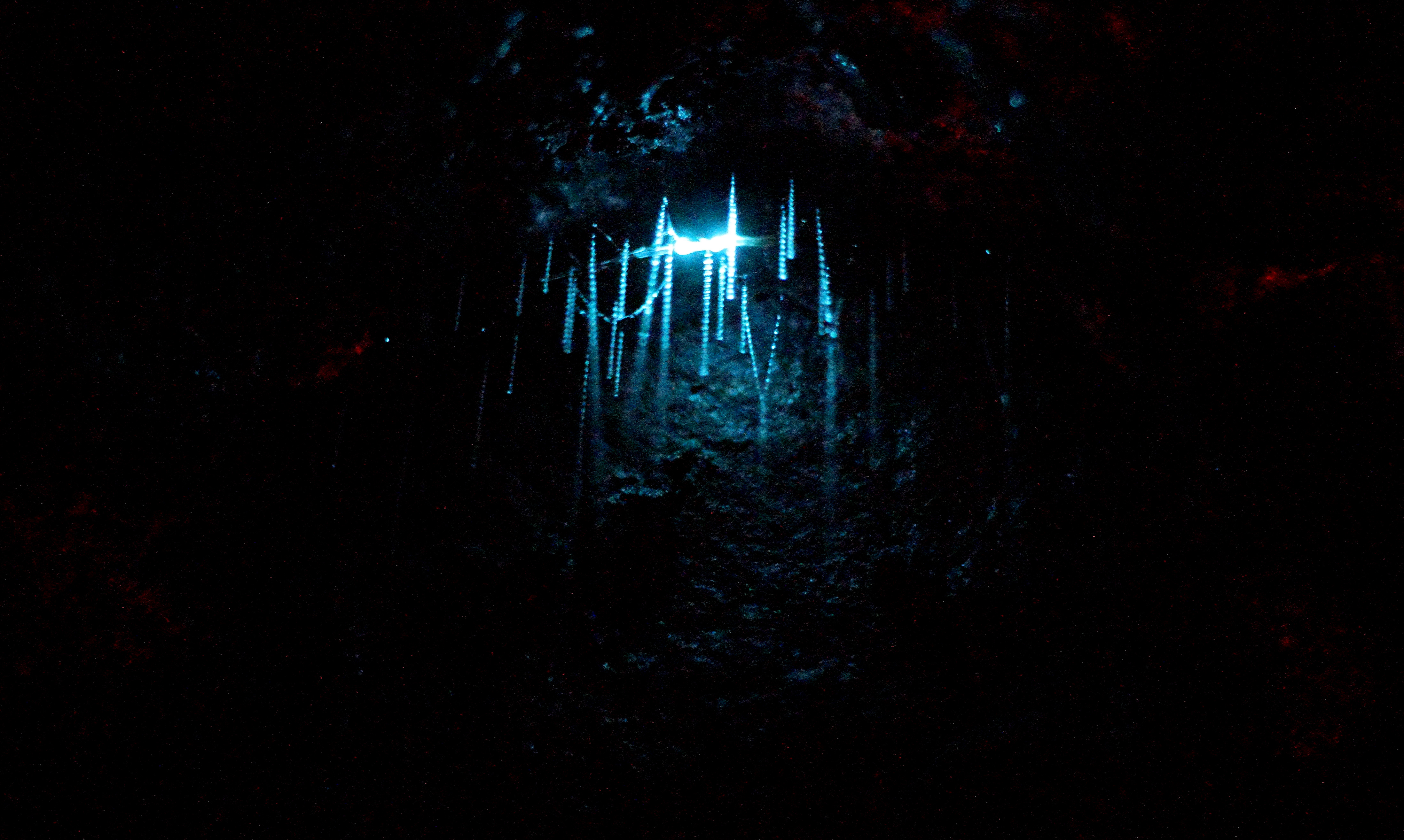 Glow works hotsell