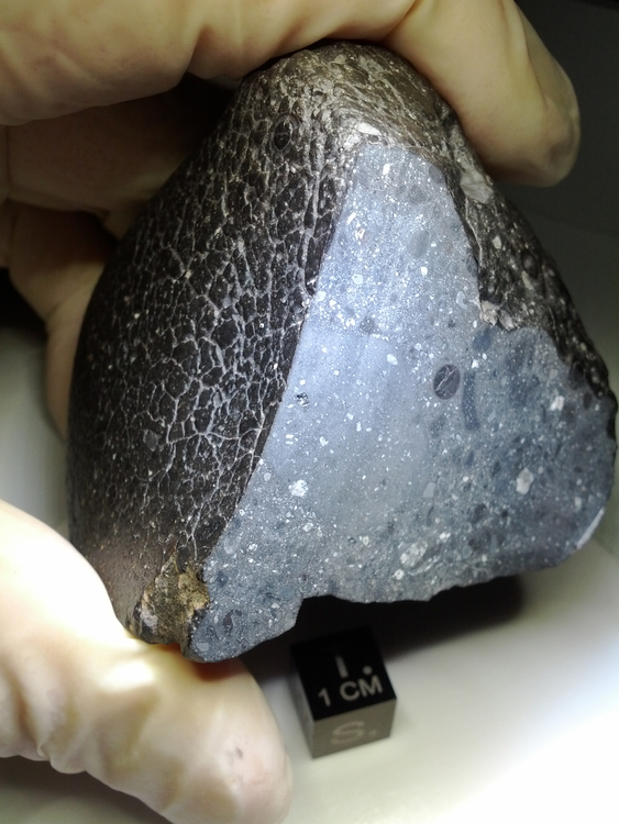 Small Martian meteorite in gloved hand nicknamed ‘Black Beauty’