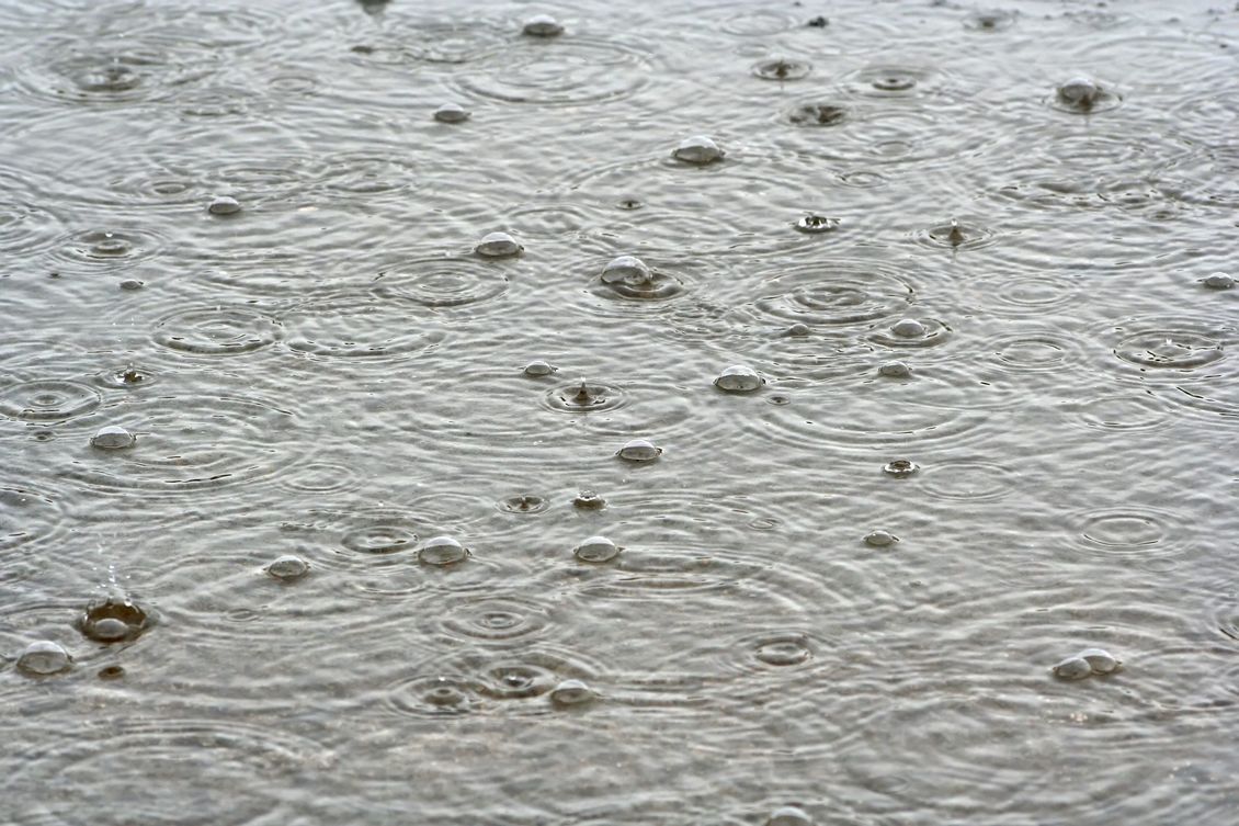 Grey rain drops on ground water.