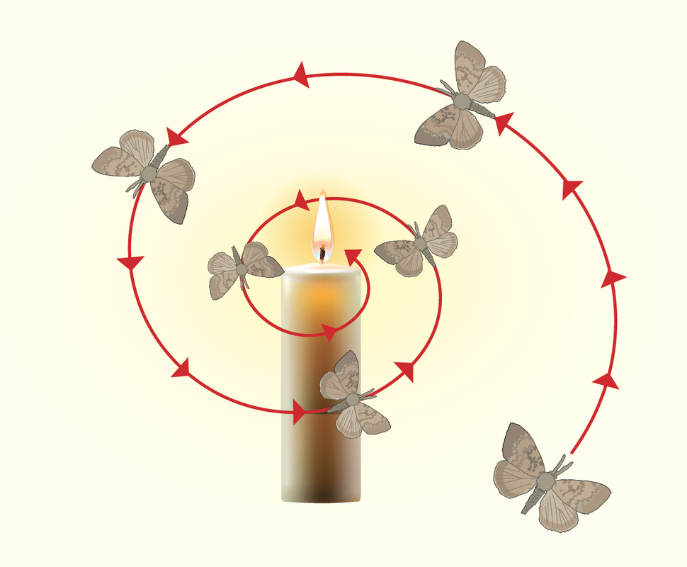 Illustration of a moth is circling around a candle flame.