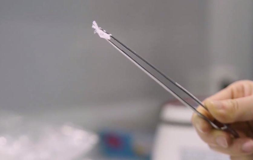 A clean PET flake being held by tweezers.