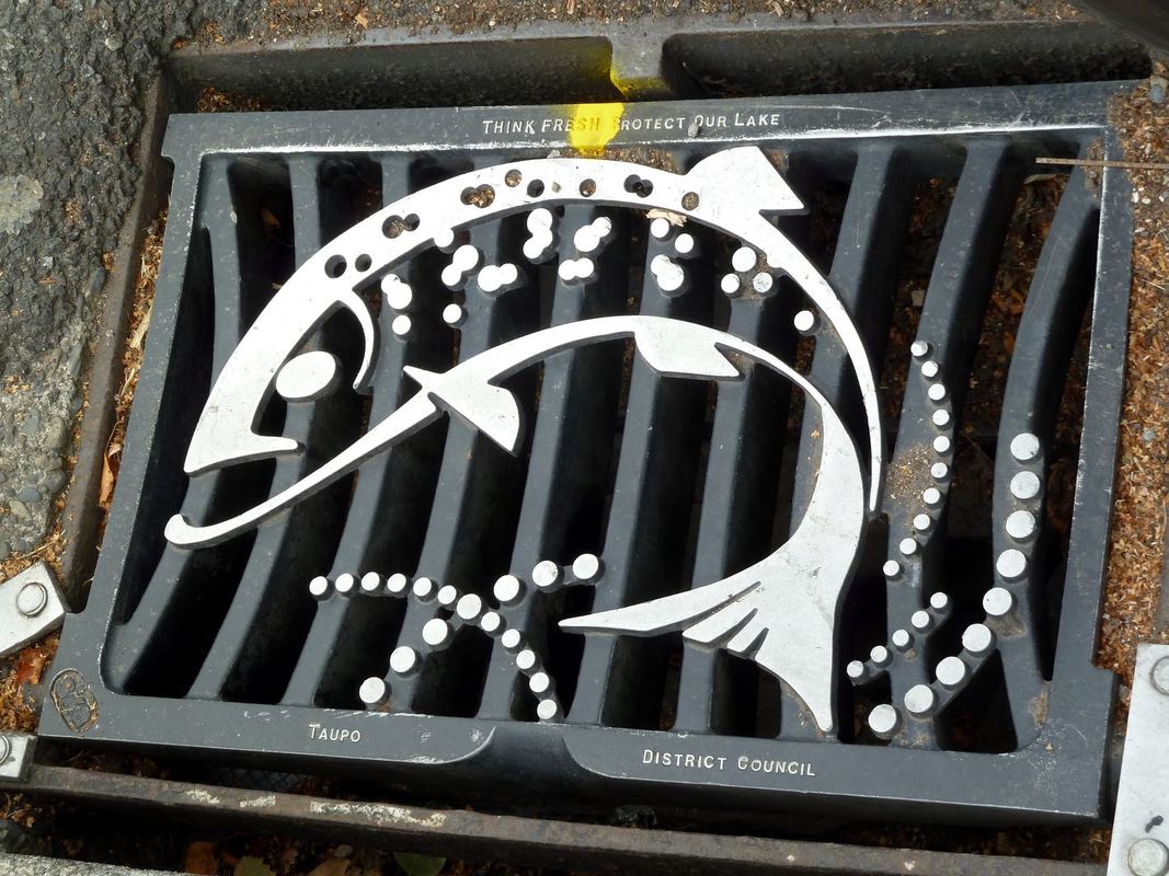 White painted fish design on a Stormwater drain in Rotorua, NZ.