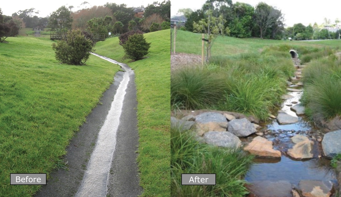 Turning drab stormwater channels into habitats for native fish.