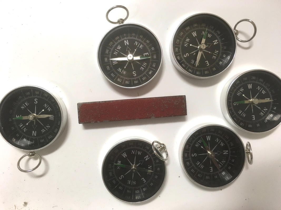 Compasses showing force field — Science Learning Hub