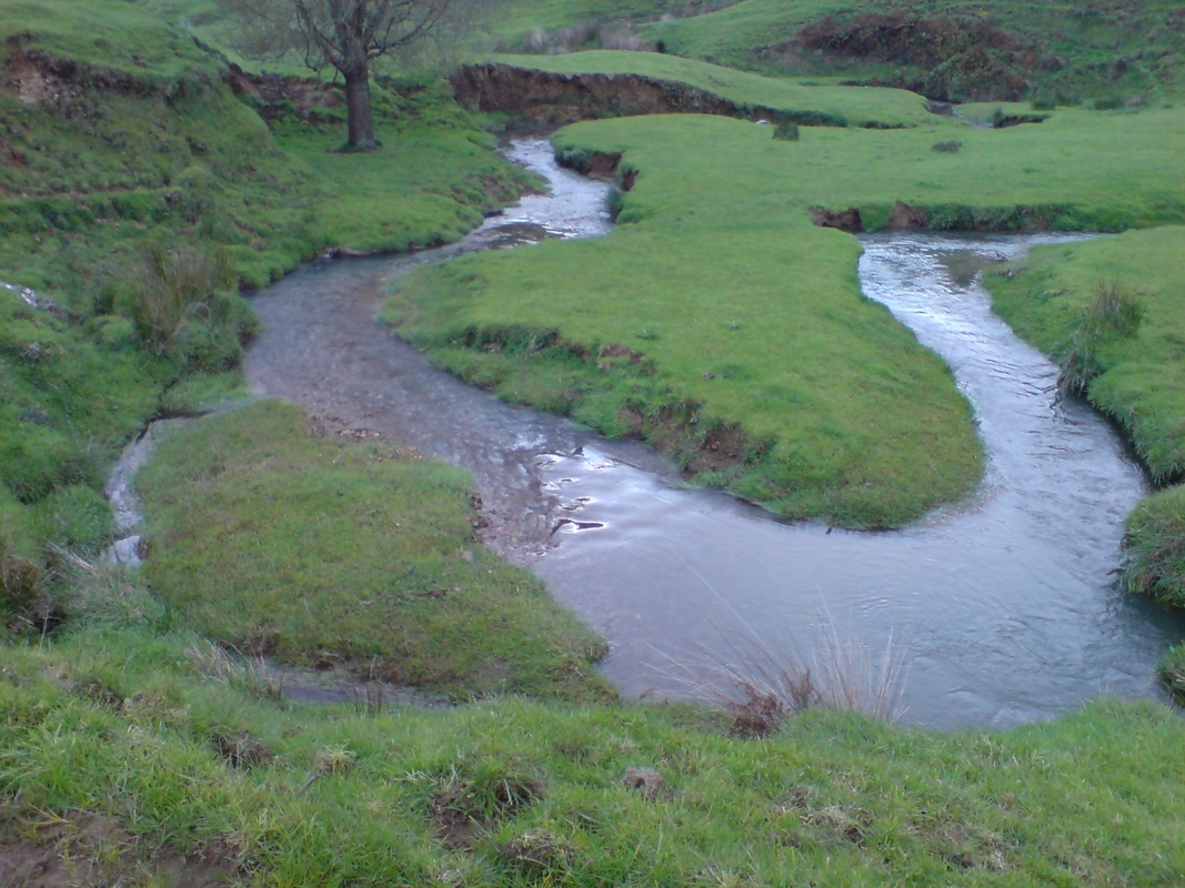 Stream on a farm in the Waitomo District area New Zealand.