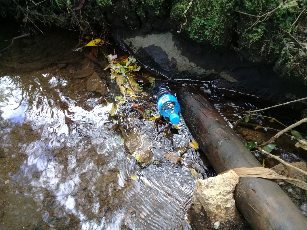 Discarded plastic bottle caught against wood in a stream.
