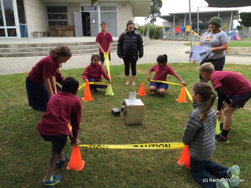 Collecting moth data — Science Learning Hub