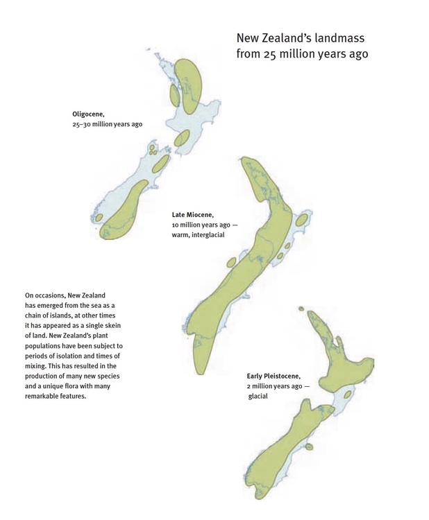 3 maps showing New Zealand’s changing coastline.