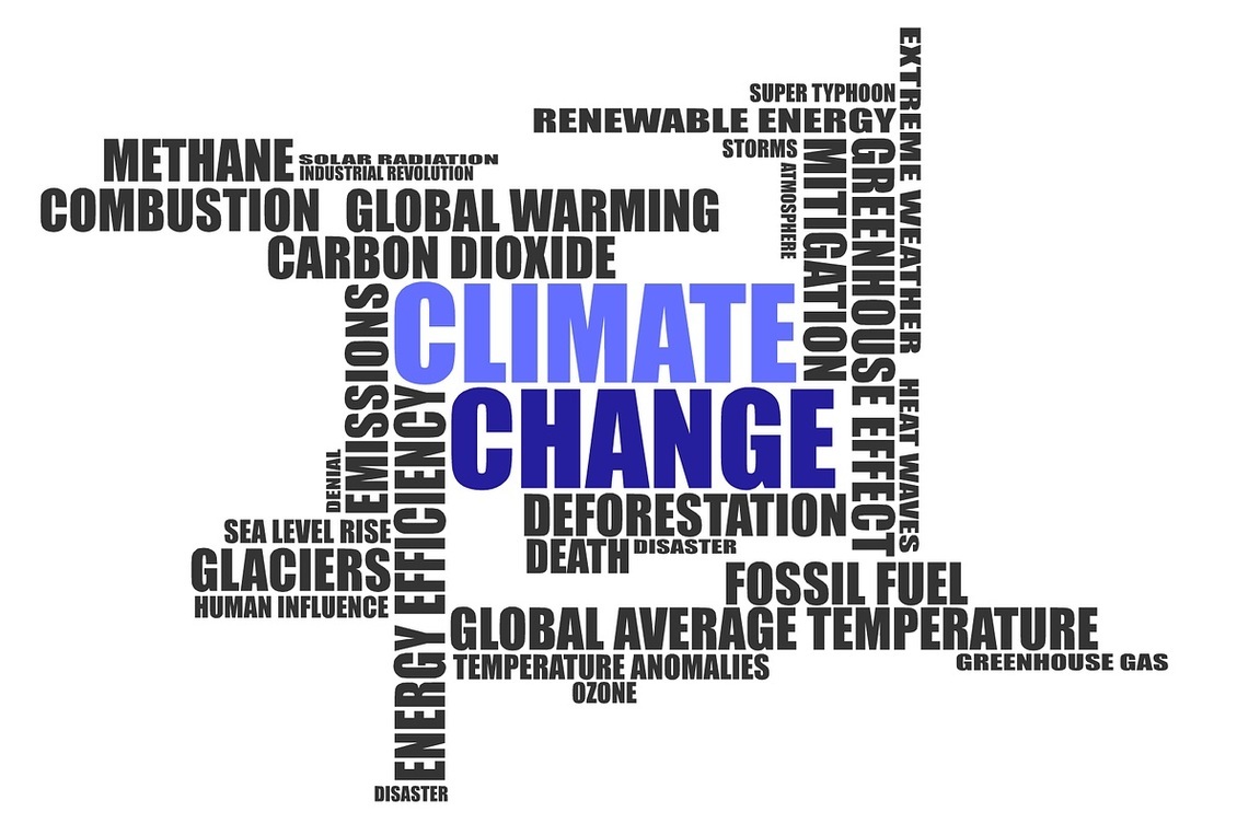 Causes and impacts of climate change word picture.