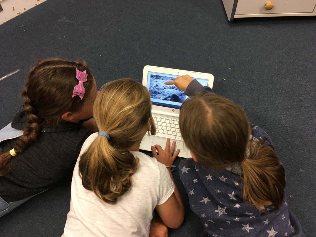 3 students using a citizen science website to identify animals