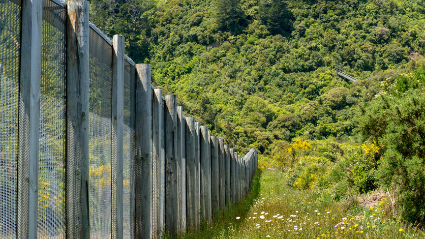Zealandia's pest predator-proof fence.