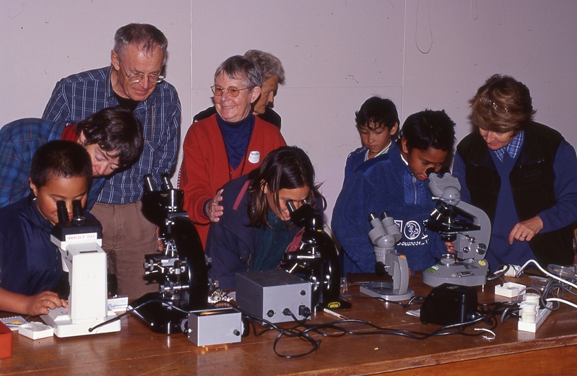 Students using microscopes to look at fungi.