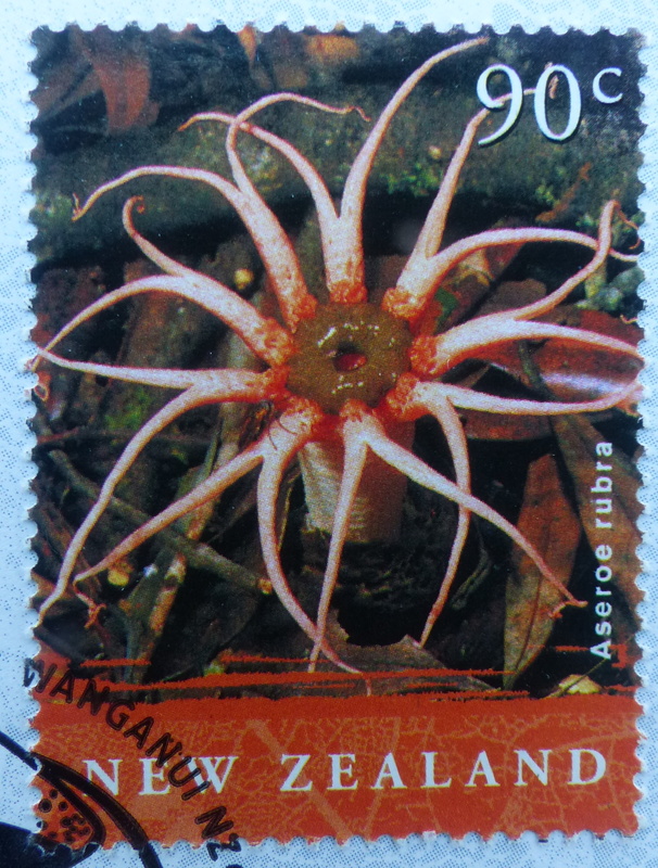 Photo of puapuatai fungus on a 90c NZ stamp from 2004.