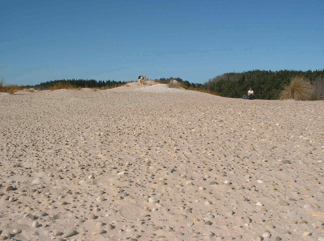 Middens in Henderson, New Zealand