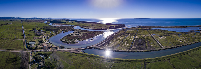 Te Tumu Cut directs Kaituna River water to sea instead Estuary
